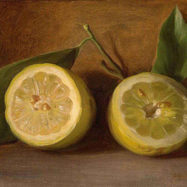 Lemons – A Poem